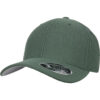 110 Hybrid Green