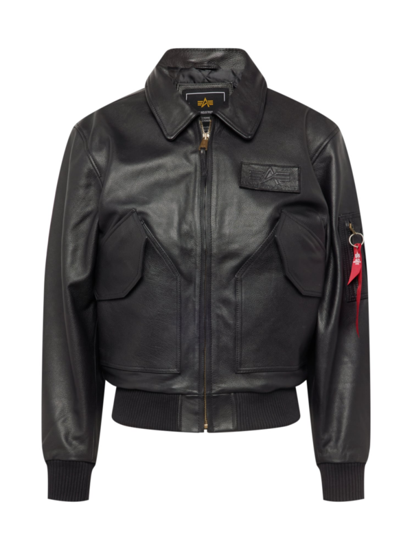 ALPHA INDUSTRIES Átmeneti dzseki  fekete-Hungary
