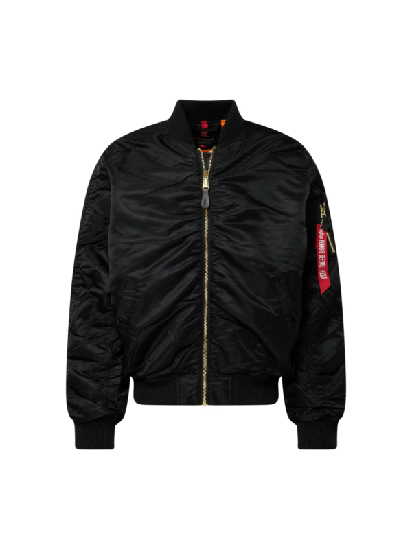 ALPHA INDUSTRIES Átmeneti dzseki  fekete-Hungary