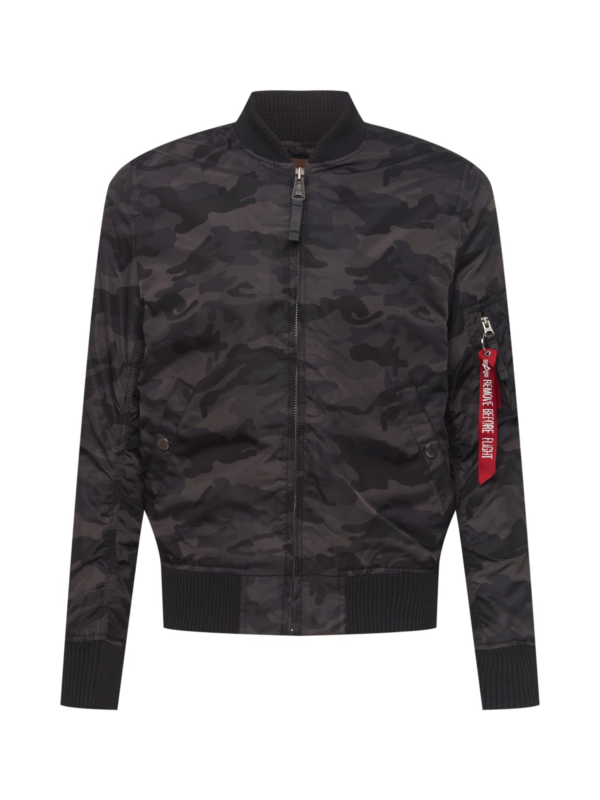ALPHA INDUSTRIES Átmeneti dzseki  sötétszürke / piros / fekete / fehér-Hungary