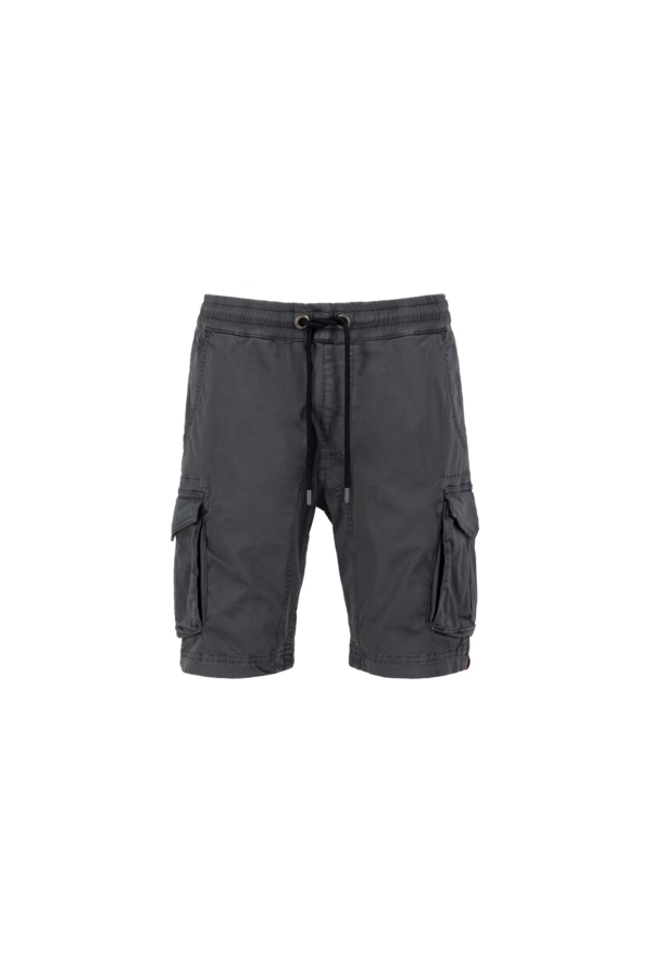 ALPHA INDUSTRIES Cargo nadrágok  grafit-Ár