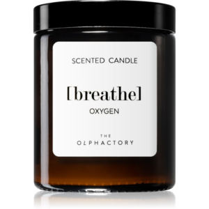 Ambientair The Olphactory Oxygen illatgyertya (brown) Breathe 135 g-Ár