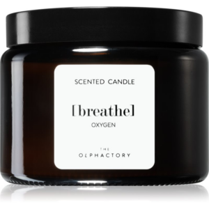 Ambientair The Olphactory Oxygen illatgyertya (brown) Breathe 360 g-Ár