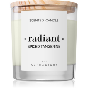 Ambientair The Olphactory Spiced Tangerine illatgyertya Radiant 200 g-Ár