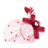 Art Of Polo Woman's Fascinator cz22171