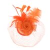 Art Of Polo Woman's Fascinator cz22175