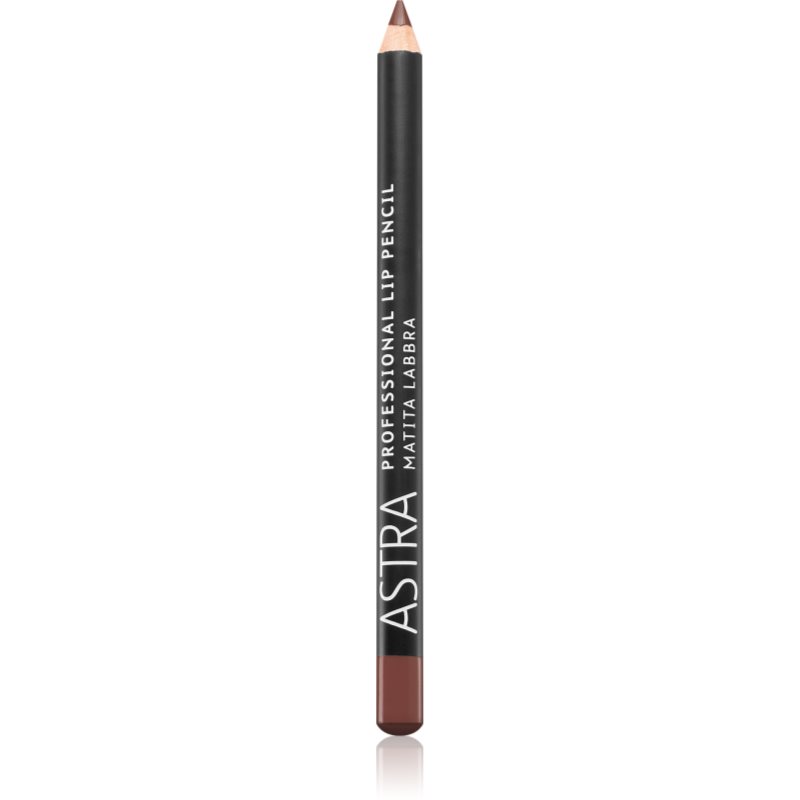 Astra Make-up Professional szájkontúrceruza árnyalat 41 Wood 1