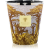 Baobab Collection Sacred Trees Cocody illatgyertya 16 cm-ár