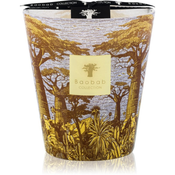 Baobab Collection Sacred Trees Cocody illatgyertya 16 cm-ár