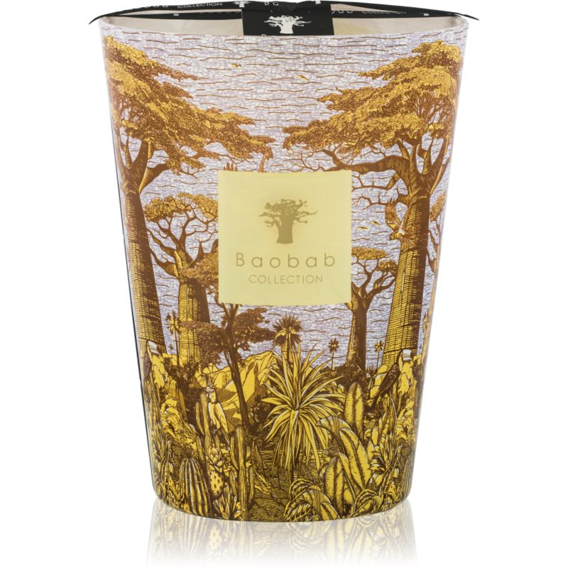 Baobab Collection Sacred Trees Cocody illatgyertya 24 cm-ár