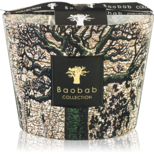 Baobab Collection Sacred Trees Kani illatgyertya 10 cm
