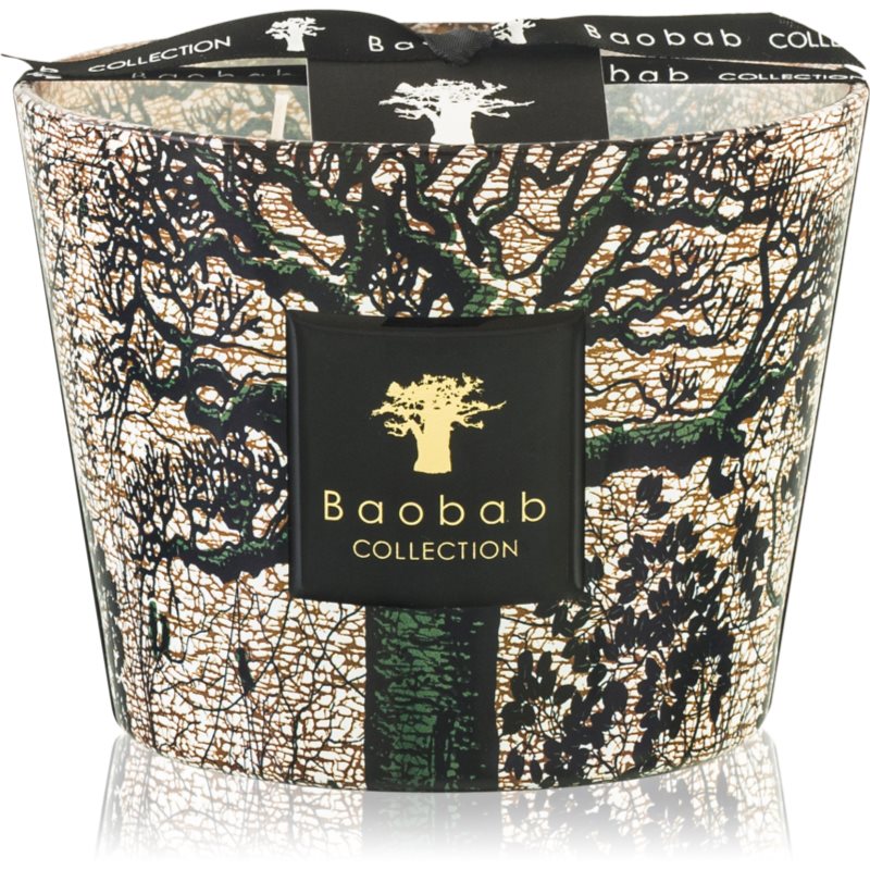 Baobab Collection Sacred Trees Kani illatgyertya 10 cm