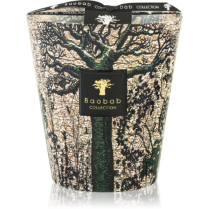 Baobab Collection Sacred Trees Kani illatgyertya 16 cm