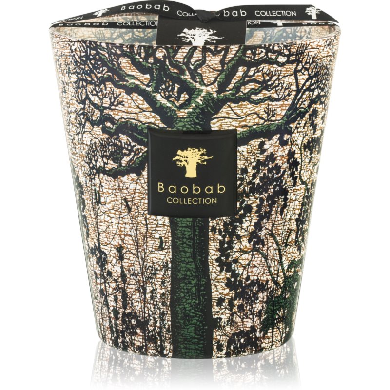 Baobab Collection Sacred Trees Kani illatgyertya 16 cm