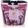 Baobab Collection Sacred Trees Massasso illatgyertya 10 cm-ár
