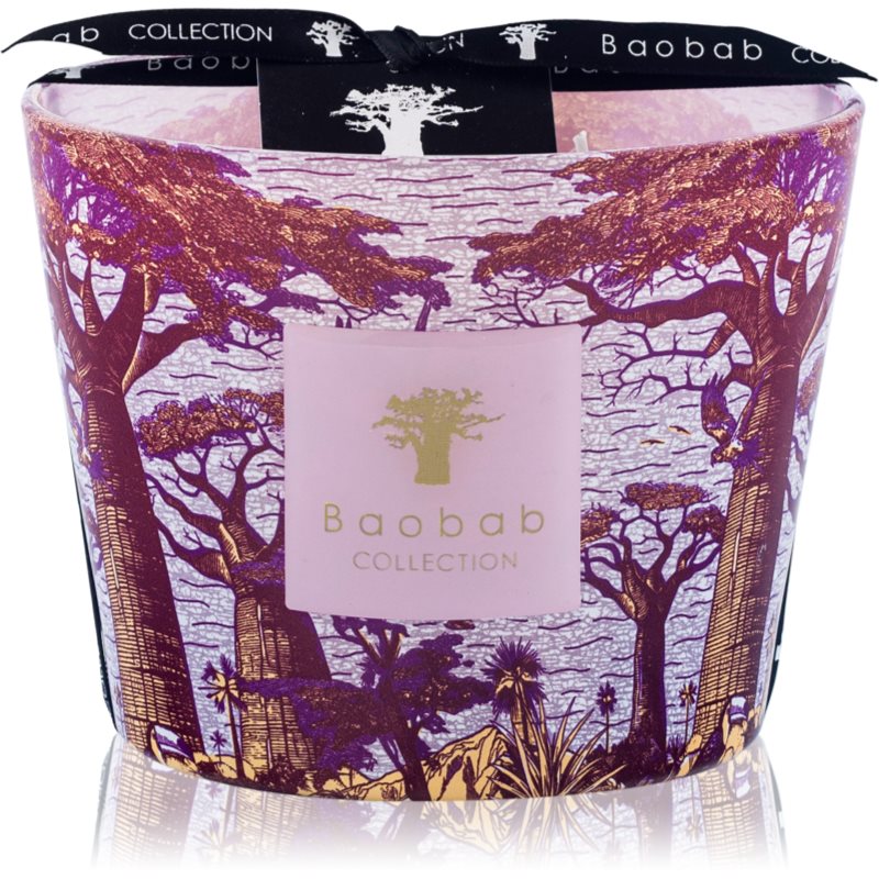 Baobab Collection Sacred Trees Massasso illatgyertya 10 cm-ár