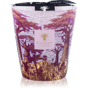 Baobab Collection Sacred Trees Massasso illatgyertya 16 cm-ár