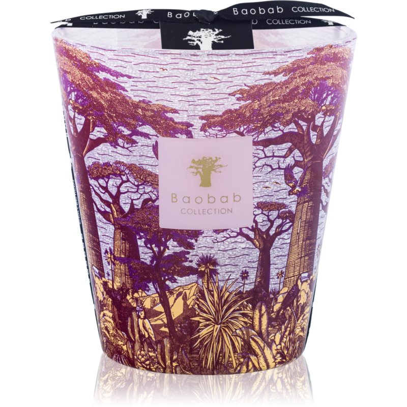 Baobab Collection Sacred Trees Massasso illatgyertya 16 cm-ár
