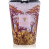 Baobab Collection Sacred Trees Massasso illatgyertya 24 cm-ár