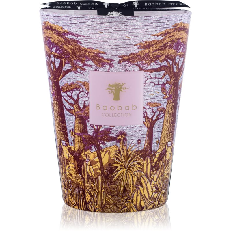 Baobab Collection Sacred Trees Massasso illatgyertya 24 cm-ár