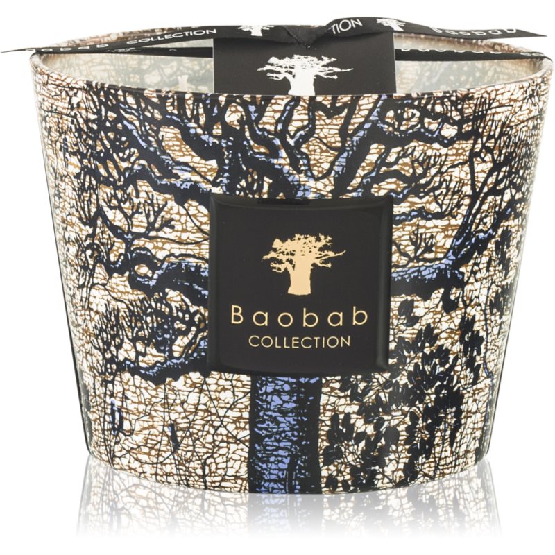 Baobab Collection Sacred Trees Seguela illatgyertya 10 cm