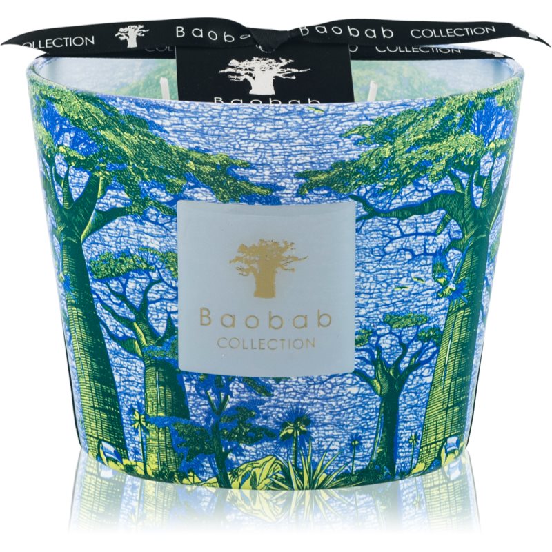Baobab Collection Sacred Trees Yarani illatgyertya 10 cm-ár