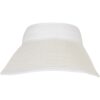 Bast Visor logo white