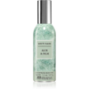 Bath & Body Works Aloe & Palm lakásparfüm 42