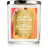Bath & Body Works Calypso Clementine illatgyertya 227 g-Ár