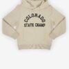 Beige boys' hoodie Tom Tailor - Boys