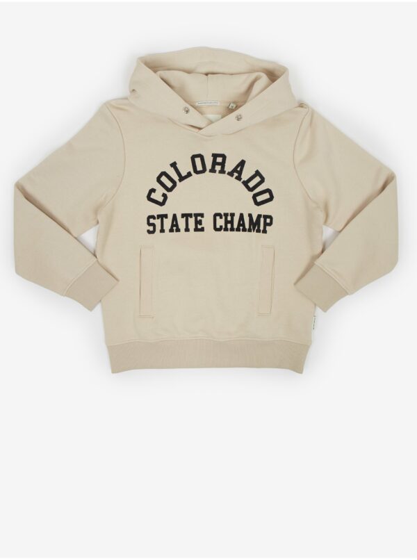 Beige boys' hoodie Tom Tailor - Boys