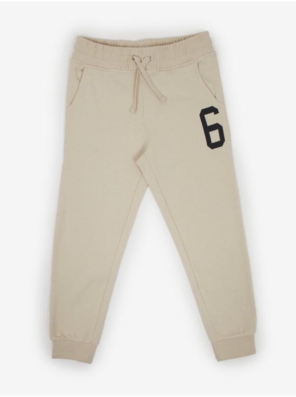 Beige boys' sweatpants Tom Tailor - Boys