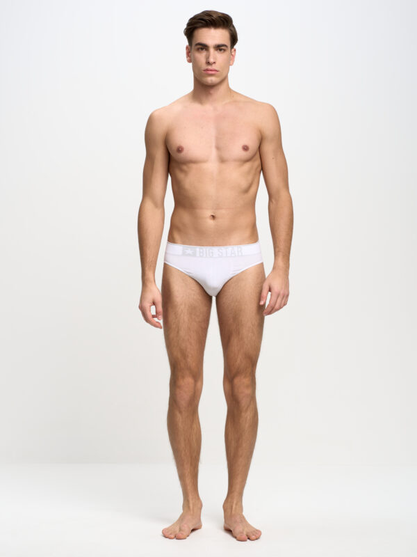 Big Star Man's Underpants 150089