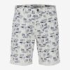 Blend Shorts - Men