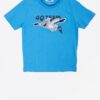 Blue Boys T-Shirt Tom Tailor - Boys