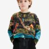 Blue-green boys' sweatshirt Desigual Newman - Boys