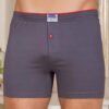 Boxer shorts-BR-BK-1099.26P-dark gray