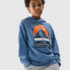 Boys' 4F Hoodie - Blue