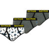 Boys briefs Batman 3P Frogies