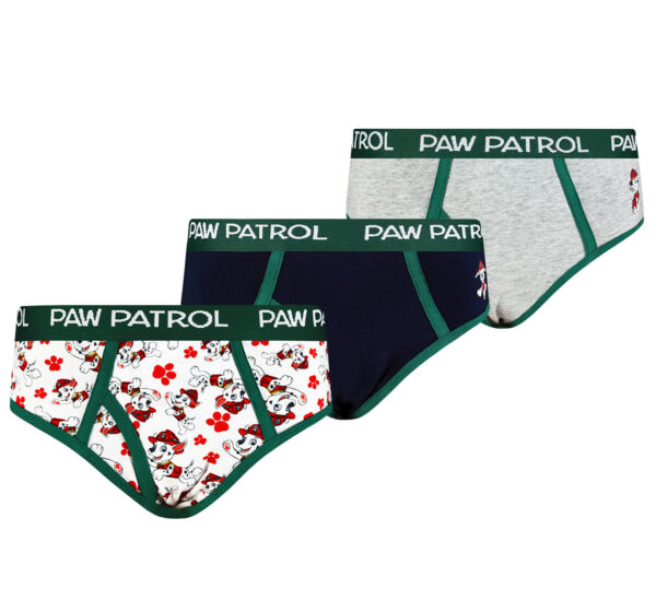Boys briefs Paw Patrol 3P Frogies