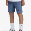 Boys' shorts Quiksilver EASY DAY
