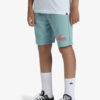 Boys' shorts Quiksilver EASY DAY