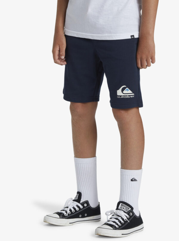 Boys' shorts Quiksilver EASY DAY