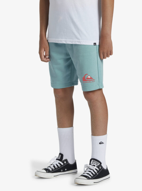 Boys' shorts Quiksilver EASY DAY