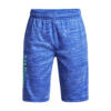 Boys' shorts Under Armour Prototype 2.0 Wdmk Shorts