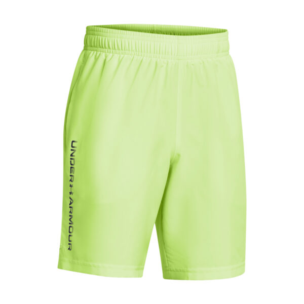Boys' shorts Under Armour Tech Woven Wordmark Short