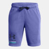 Boys' shorts Under Armour UA Boys Rival Terry Short