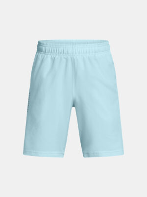 Boys' shorts Under Armour UA Tech Woven Wordmark Short - Boys