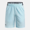 Boys' shorts Under Armour UA Vanish Shorts - Boys