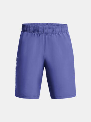 Boys' shorts Under Armour Woven Wdmk Shorts
